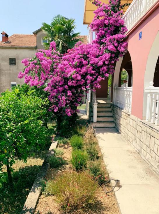 Peaceful, Cosy Tivat Guesthouse Exterior photo